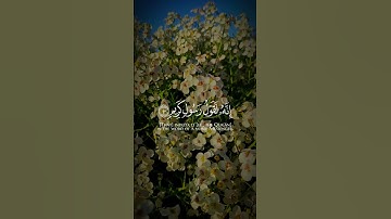 Surah Al Haqqa | سورة الحاقة#الحاقه #الحاقة #حاقه #alhaqqa #haqqa #surah #sura #سورة #سوره #القرآن