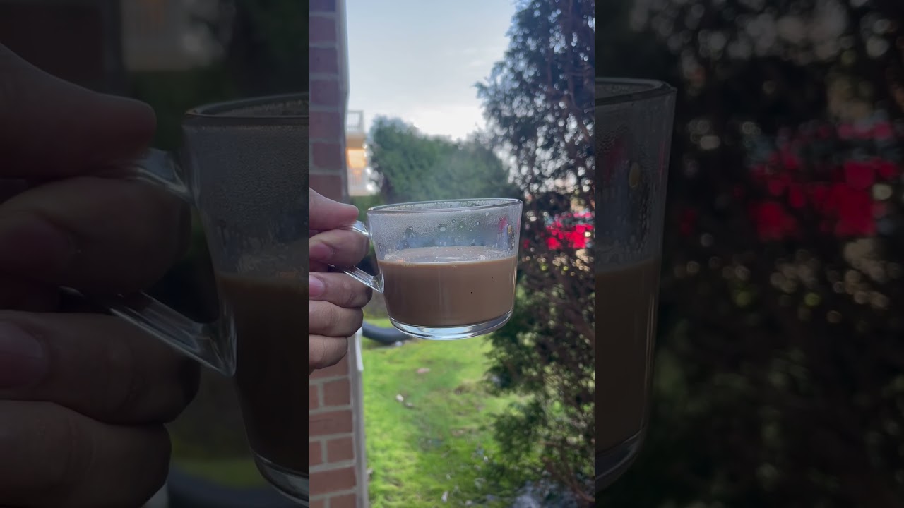 Pleasant Evening with nature sound 