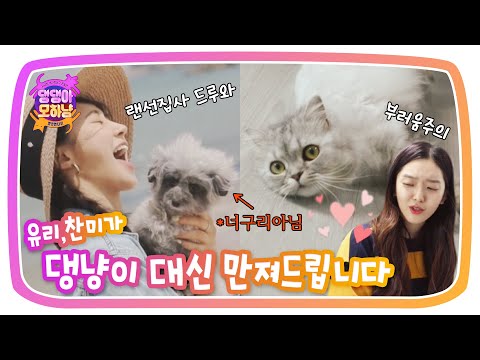 [<strong>ENG</strong>] 유리와 찬미의 극과 극 댕냥이 LOVE <strong>STORY</strong>...💓 《댕댕아모하냥》 EP.1  by 모비딕 Mobidic