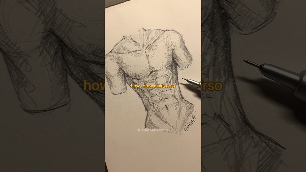 how “i” draw male torso 
