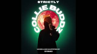 Reggae Mix | Strictly Collie Buddz