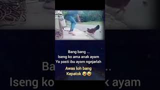 Download Lagu Iseng Amat Bang #awdella #cover #kpop #music #musicvideo #ost #tertawanhati #tiaraandini #tv MP3