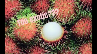 Trying Exotic Fruit | Saff&amp;Patch&amp;Co. Productions