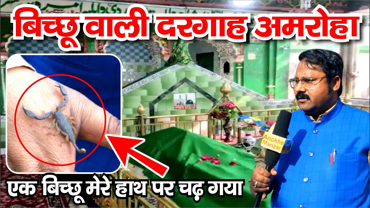 Bicchu Wali Dargah Amroha | Bichhu Wala Mazar | बिच्छू वाली मजार अमरोहा | Scorpion | Anokhe Manzar