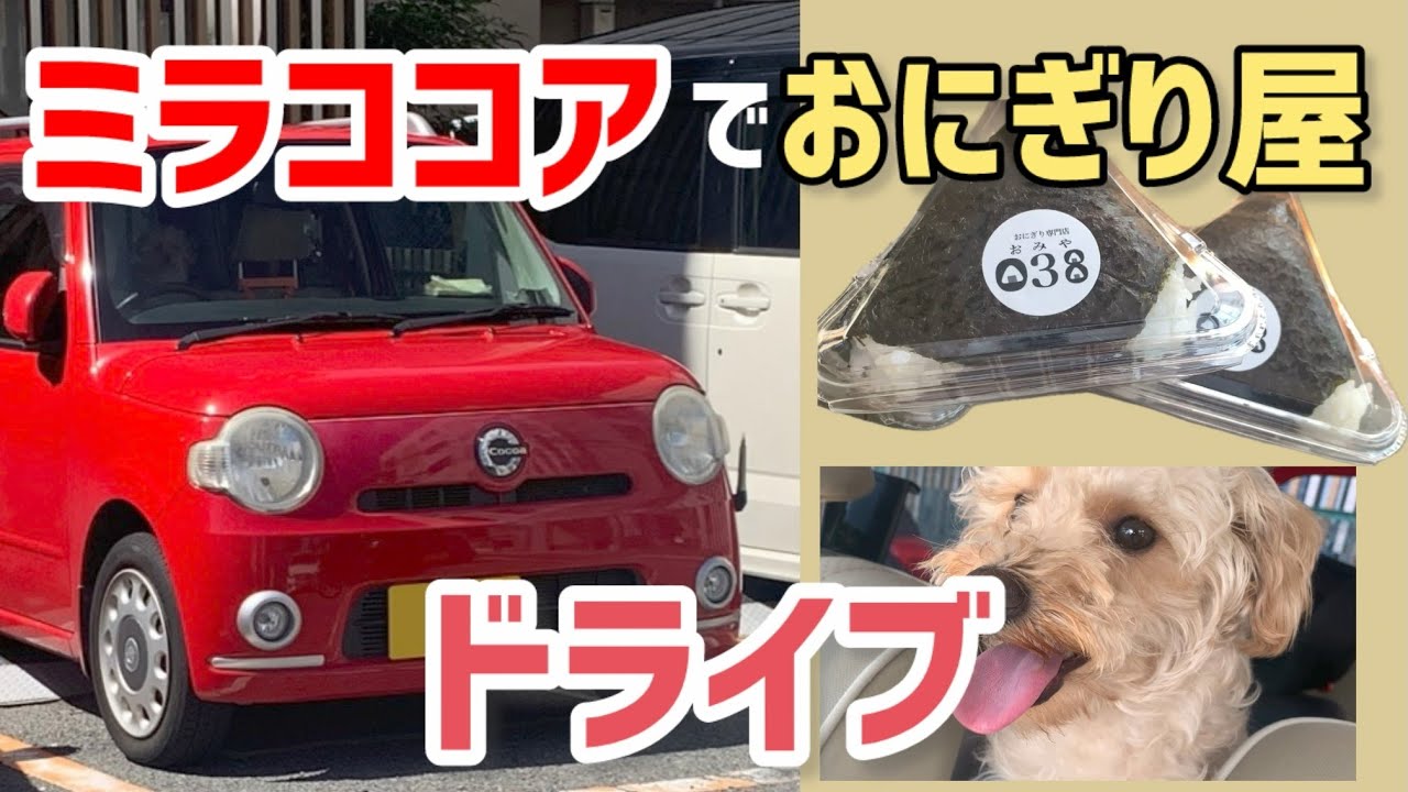 【12.9万円 ダイハツ ミラココア】おにぎりを食べにワンちゃんと家族ドライブ！大阪の道の駅にも寄るよ「犬と一緒にお出かけシリーズ2」