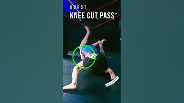 One of Efficient Ways to Pass Z Guard/Reverse De La Riva