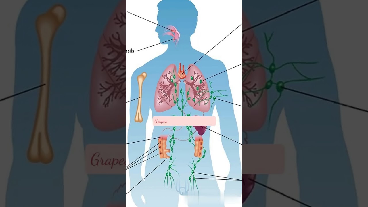 Grapes Benefits Unveiled! 🍇 | Fruit of the Day: Sweet Health Secrets