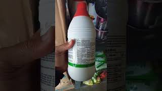 Roundup 486 Sl Herbicide Controls Grass And Alangalang Grass