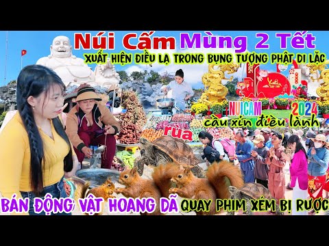 Du Lịch Núi Cấm Ngày Mùng 2 Tết 2024 hàng 1000 người đổ về chui vào bụng tượng Phật di lặc làm lạ.. mới 2023