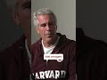 If he’s really gone, then who’s playing? #epsteinfiles #e #spirituality #stitch #truecrimestories