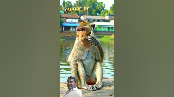 நாமா எல்லாம் துபாய் #virelshorts #shortsfeed #funnyshorts #monkeyvideo #comedy #tranding