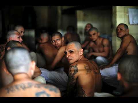 El Salvador lines up semi-naked gang members for grim prison photos
