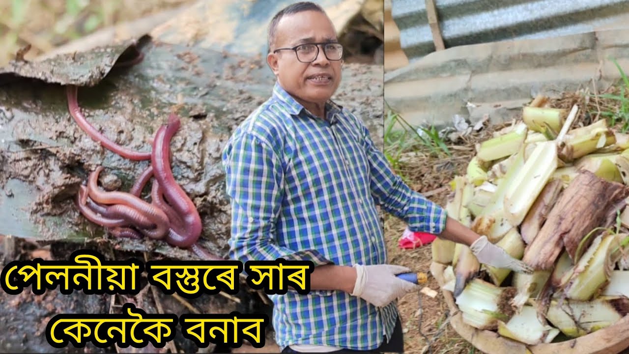 পেলনীয়া বস্তুৰে কেনেদৰে সাৰ বনাব পাৰি | Easy Method to Make Manure at home ( organic)
