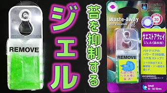 Back Undefined Skip Navigation Search Search Sign In Undefined Play All グッピーの探究 121 Videos 29 465 Views Updated 2 Days Ago 海外のブリーダー情報や硬度という難しい内容から 初心者の方でも楽しめるよう 分かりやすく解説しています