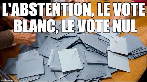 Quel Nom Pour Les Chats En 17 Quel Nom Pour Les Chats En 17