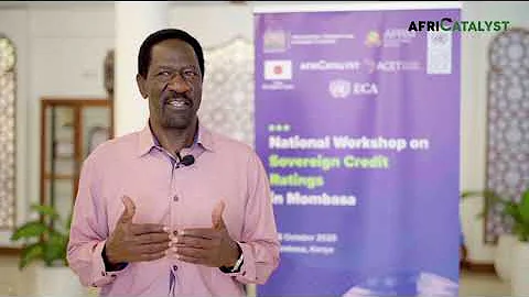 Understanding Credit Ratings: Investor Demands and Africa’s Engagement with Rating Agencies