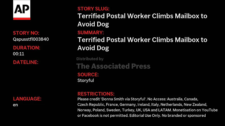 QAUTOHeadlineNR-VO Dec 11 22:23:12 IST 2025 Crmoments