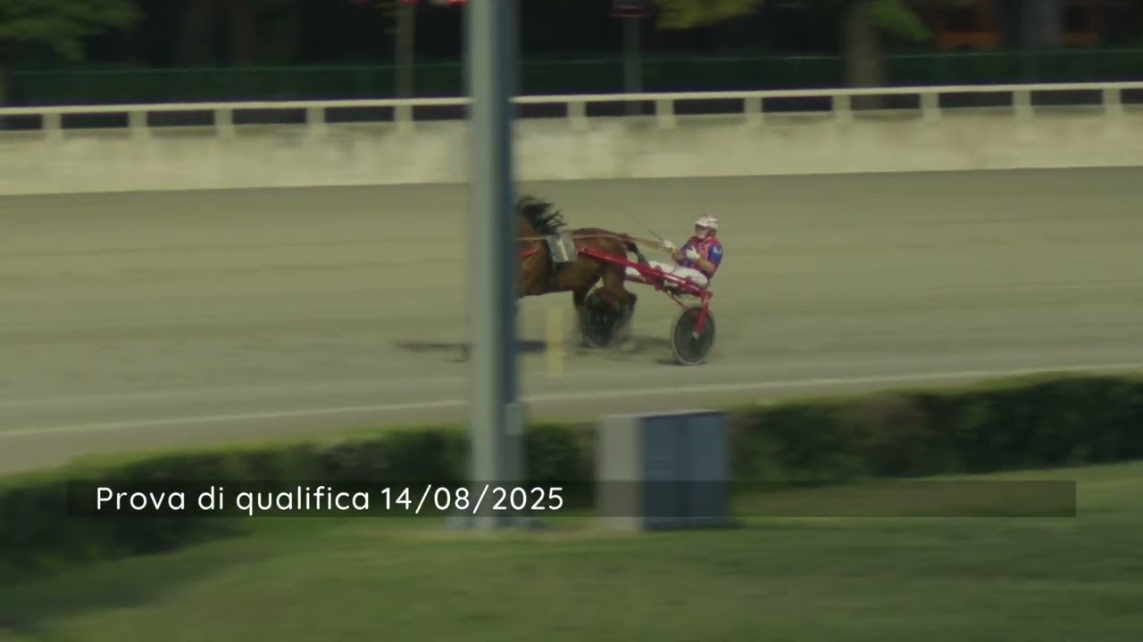 2025 08 14 | Metri 1600 | Prova di qualifica