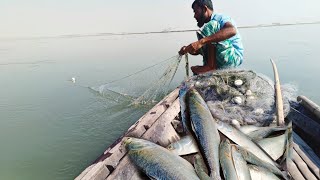 ব্রহ্মপুত্র নদীতে ইলিশ মাছ ধরার গোপন টিপস। Hilsa Fishing video . Brahmaputra river Fishing video.