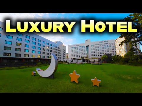 Jeju Island's BEST Hotel in the City - Maison Glad Jeju 🇰🇷 메종글래드 제주 호텔