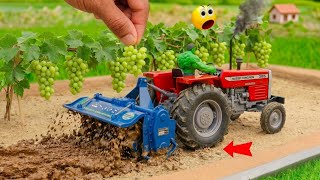 Miniature Grape Farm for Kids! | Fun Farming Adventure 🍇