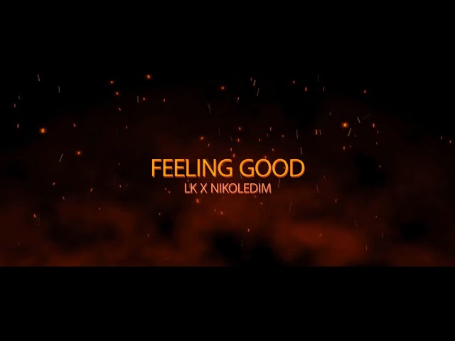 LK x NIKOLEDIM - FEELING GOOD class=