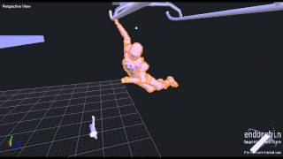Endorphin Project Ninja