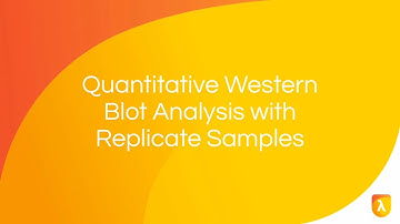 Biological Replicates | Quantitative Western Blot Analysis with Replicate Samples