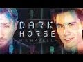 Dark Horse (Katy Perry) - Sam Tsui & Peter Hollens A Cappella Cover