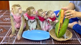 4 Siblings Sit Very Excited & Obediently Waiting Mom To Slice Papaya For Their Dessert Treat ,