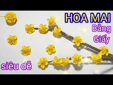 Video Cách Làm HOA MAI - CÀNH HOA MAI Đẹp Bằng Giấy Siêu Dễ... - youtube