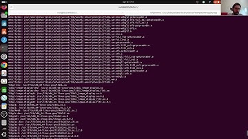 Using Wayland and GPU acceleration inside Docker (Host: Ubuntu 24.10, Docker: Ubuntu 25.04)