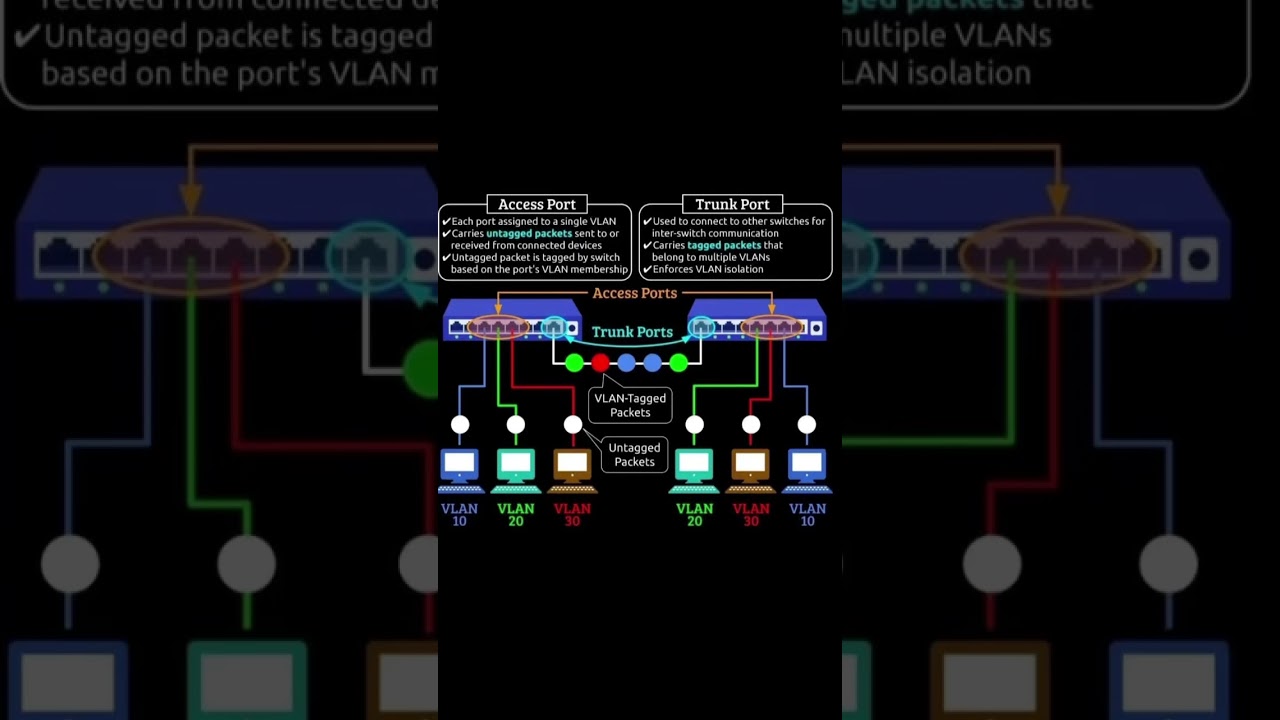 VLAN ACCESS & TRUNK PORTS!!🔥🔥🔥