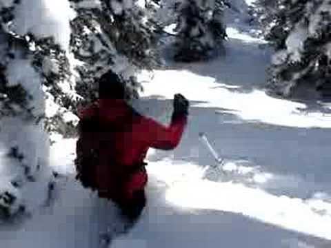 Monarch Powder