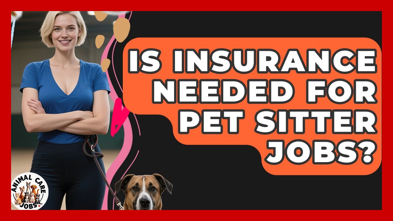 Is Insurance Needed for Pet Sitter Jobs? - Animal Care Jobs