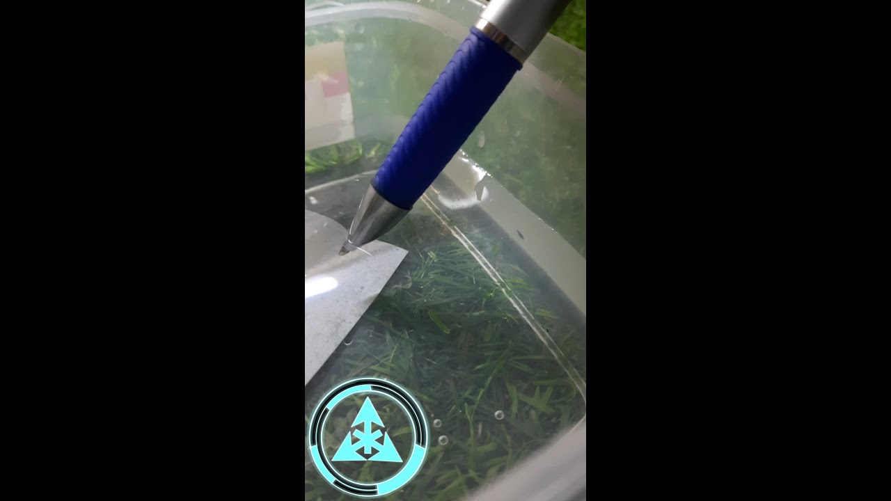 Can You Write Underwater?