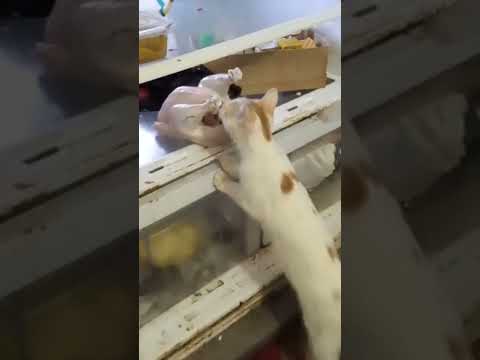 اول مره يحصل منها كده علشان الفر٠٠٠اخ 