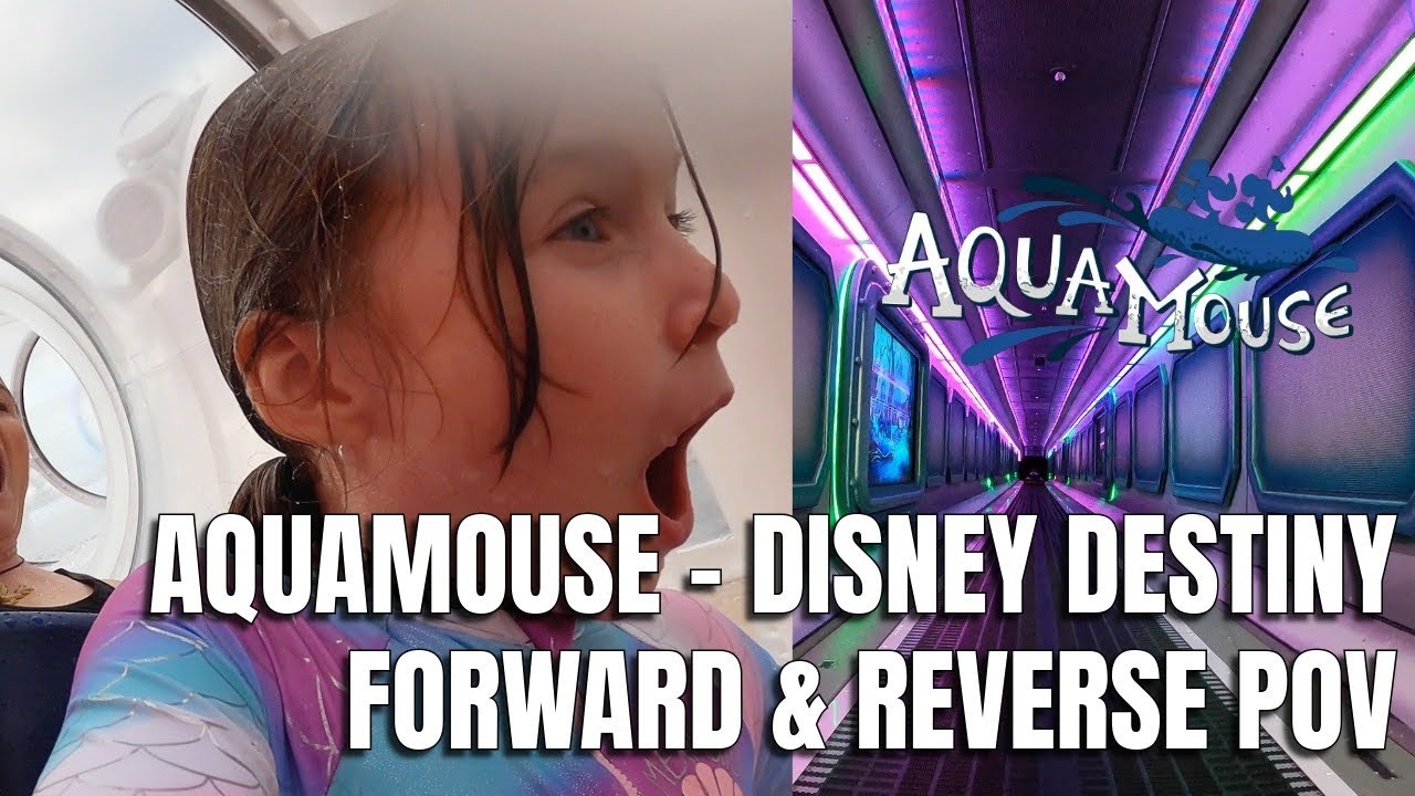Forward & Reverse AquaMouse POV on Disney’s New Destiny Ship
