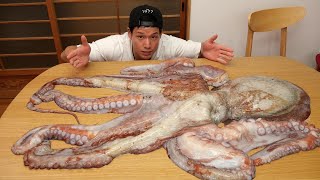 人間すらも襲う11kgの巨大なタコをたこ焼きと刺身で喰らってみた 【捕獲シーンあり】