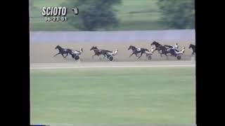 2001 Scioto Downs MATTS AFIRE Dave Hawk