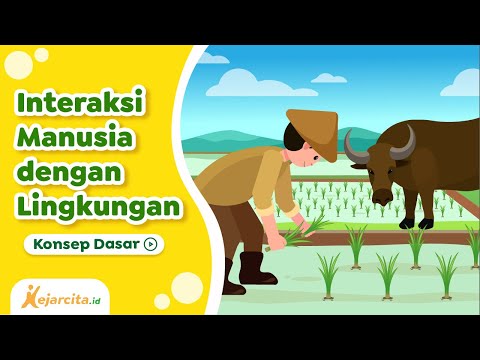 Video: Hubungan antara manusia dan alam. Manusia dan alam: interaksi