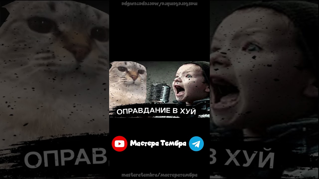 АХАХАХХА СТАМЕСКА【МастерТЕМБРА】| TGK в профиле