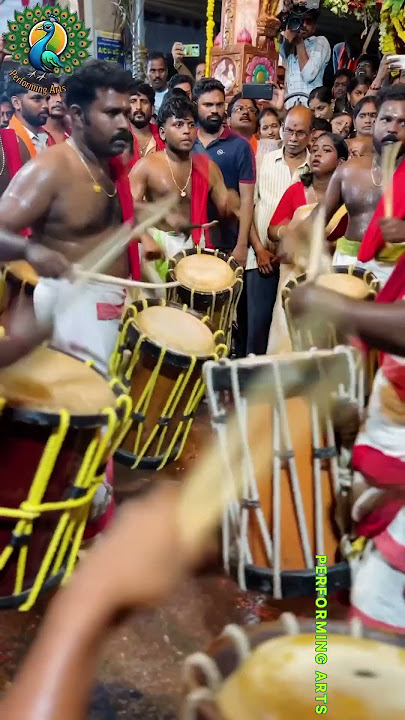 Amazing performance - 9884436365 chenda melam contact