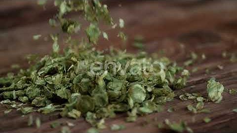Pouring hops , slow motion, shot on Phantom Flex 4K | Stock Footage - Envato elements