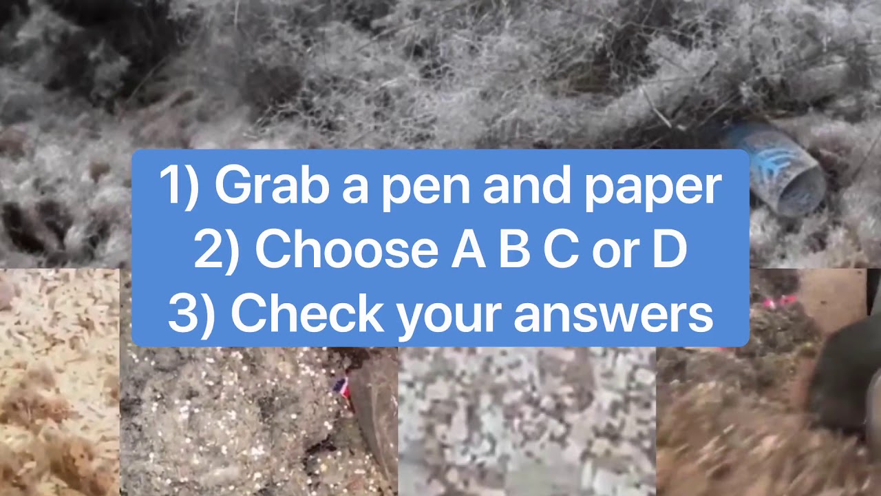 Name That Vacuumer Mess Test Quiz Vacuum Community Trivia YouTube