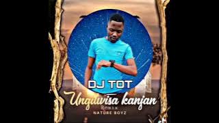 DJ TOT_Ungilwisa kanjani Remix(Nature Boyz)