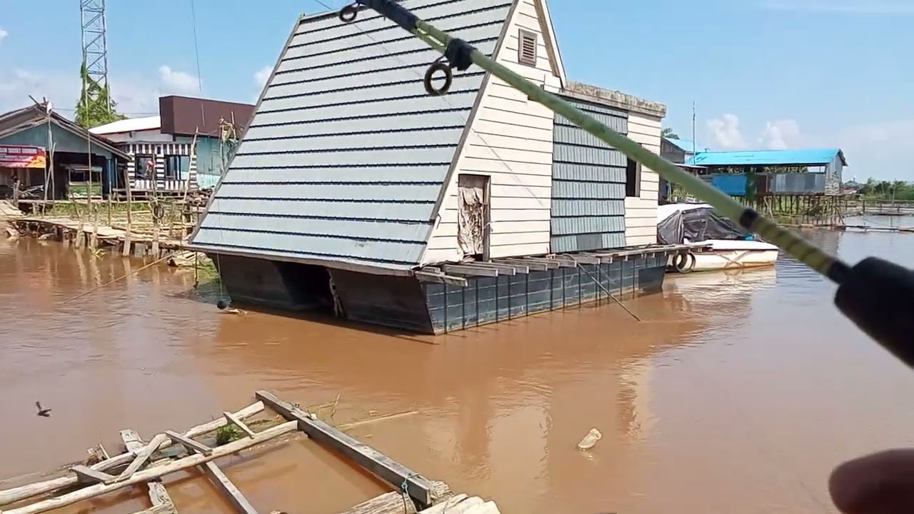 mancing lais tabiring strike lais bamban