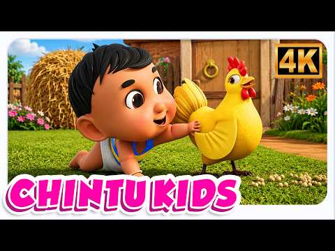 Chintu Aur Murgi Ki Dosti, चिंटू और मुर्गी की दोस्ती, Nahi Nahi Geet + Best Children Nursery Songs
