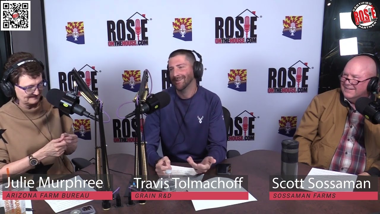 Ancient Grains | Crop yield on test plots | clip 14/23