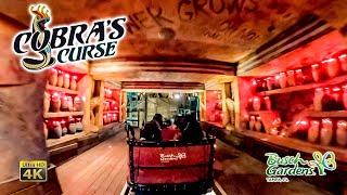 Cobra's Curse Roller Coaster On Ride 4K POV with Queue Busch Gardens Tampa 2022 01 01